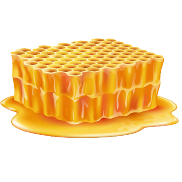 honey_1464480298