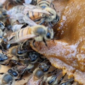 20220809_193839_1540056857